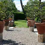 Le Del Conventino Di Marciano