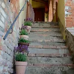 Le Del Conventino Di Marciano Siena