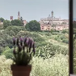 Le Del Conventino Di Marciano *