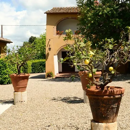 Le Del Conventino Di Marciano * Siena
