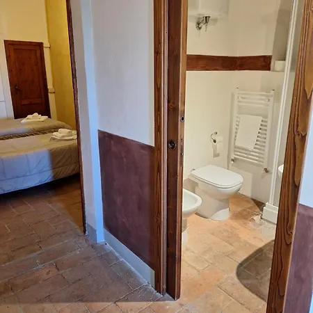 Le Del Conventino Di Marciano * Siena