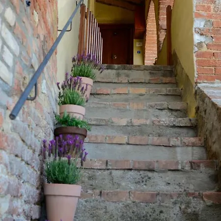 Le Del Conventino Di Marciano Siena